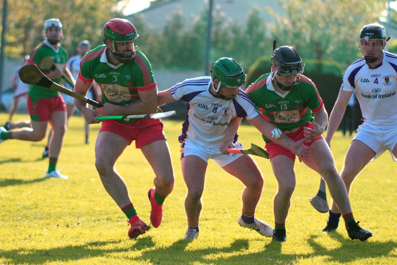 Senior B Hurlers win 2nd round Championship game