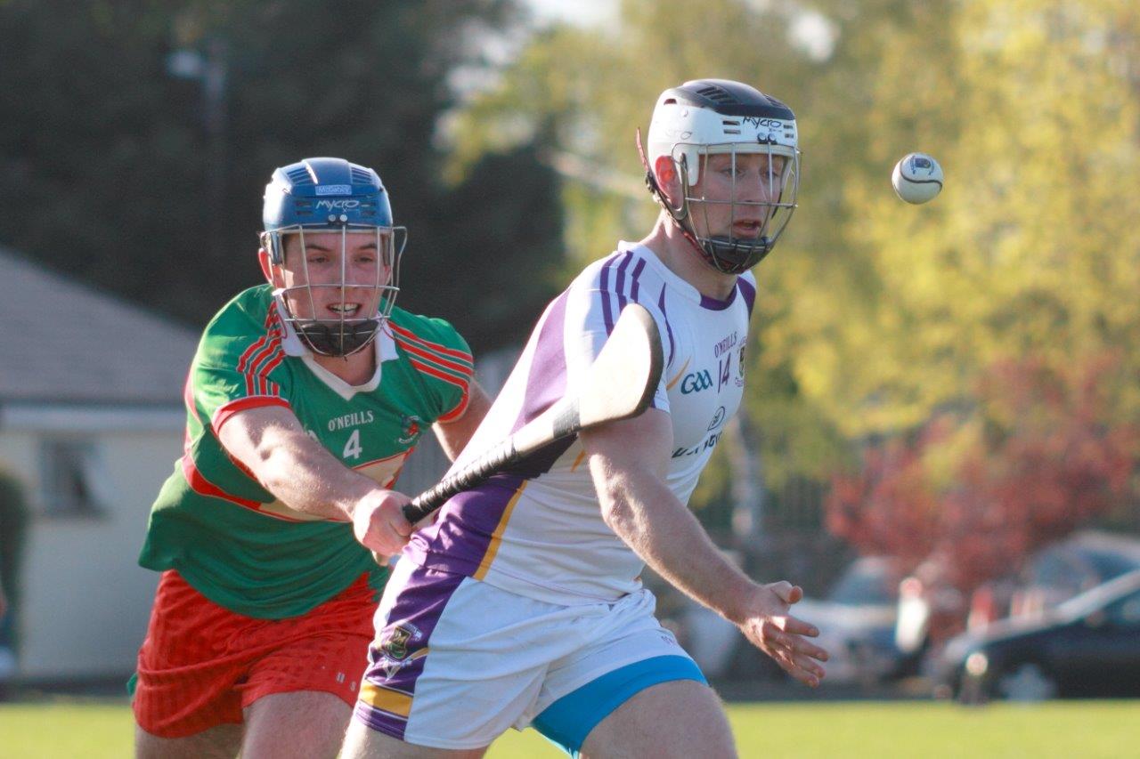 Senior B Hurlers win 2nd round Championship game