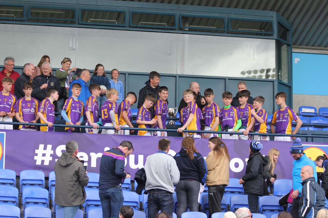 Kilmacd Crokes Division 1 Football Feile Champions 2019