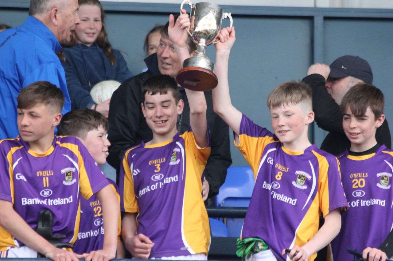 Kilmacd Crokes Division 1 Football Feile Champions 2019