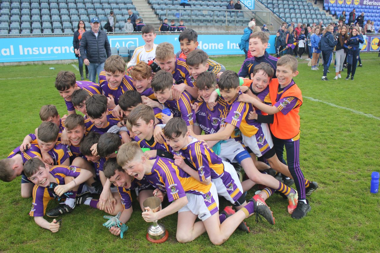 Kilmacd Crokes Division 1 Football Feile Champions 2019