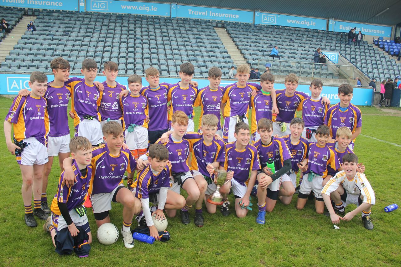 Kilmacd Crokes Division 1 Football Feile Champions 2019