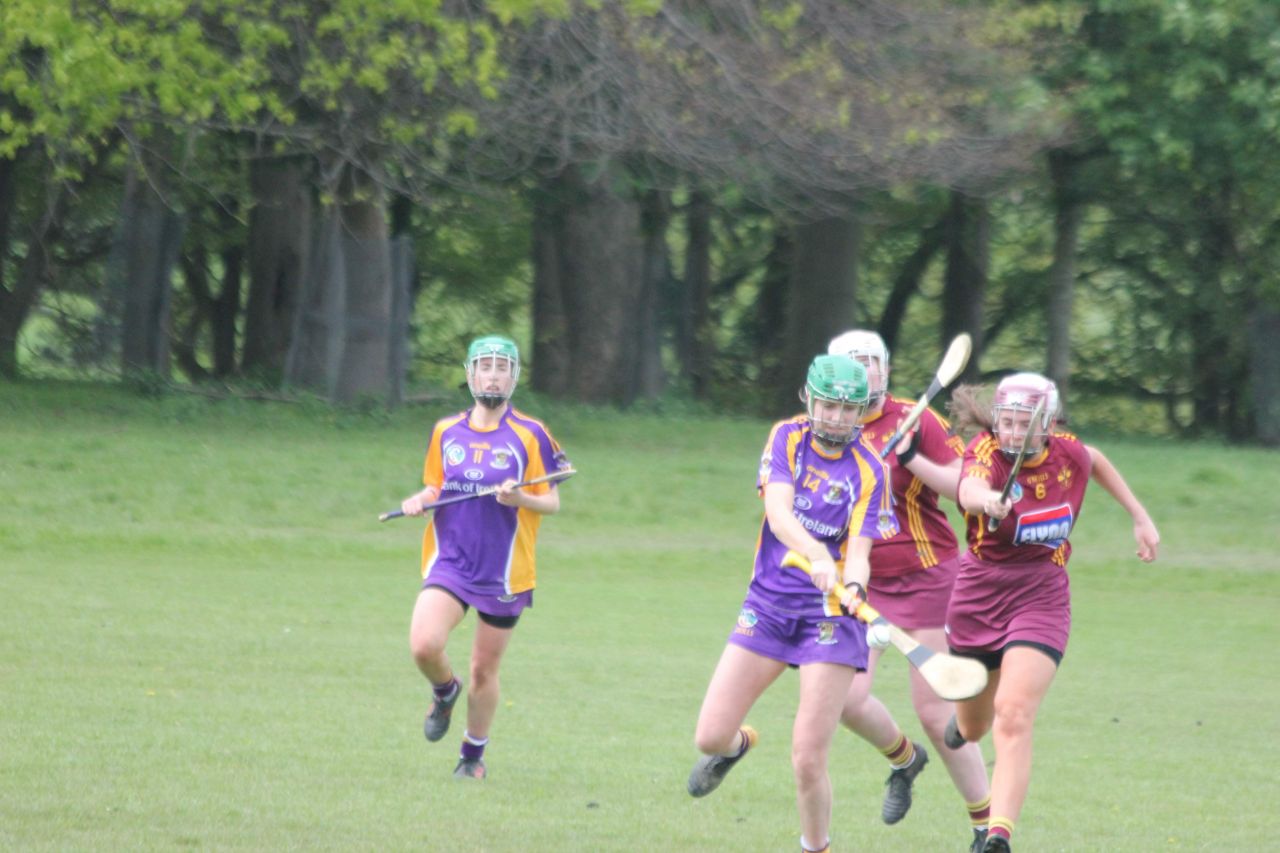 Stong performance for Minor Camogie Team against Plunketts