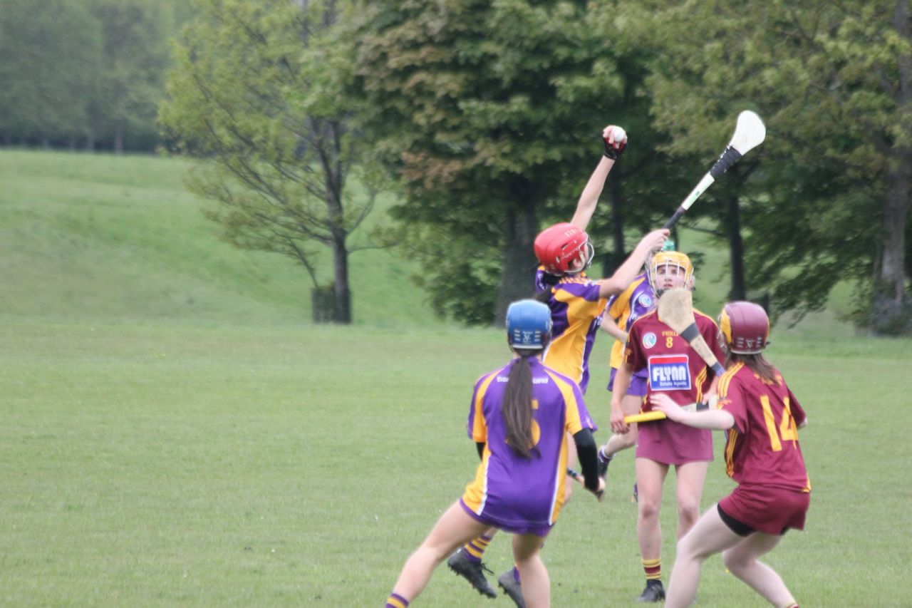 Stong performance for Minor Camogie Team against Plunketts