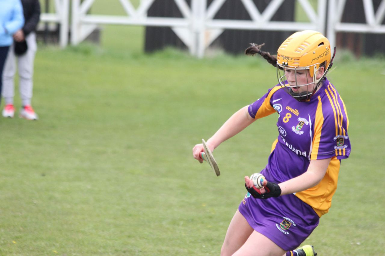 Stong performance for Minor Camogie Team against Plunketts