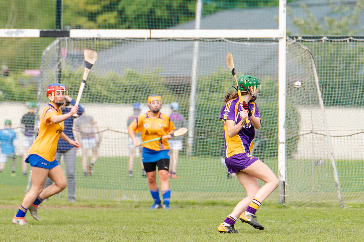 KIlmacud Crokes  Camogie Minor Group 1  Win over Na Fianna