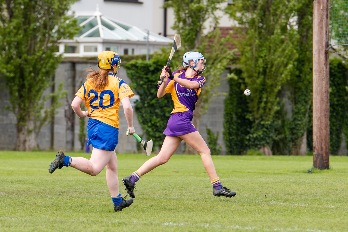 KIlmacud Crokes  Camogie Minor Group 1  Win over Na Fianna