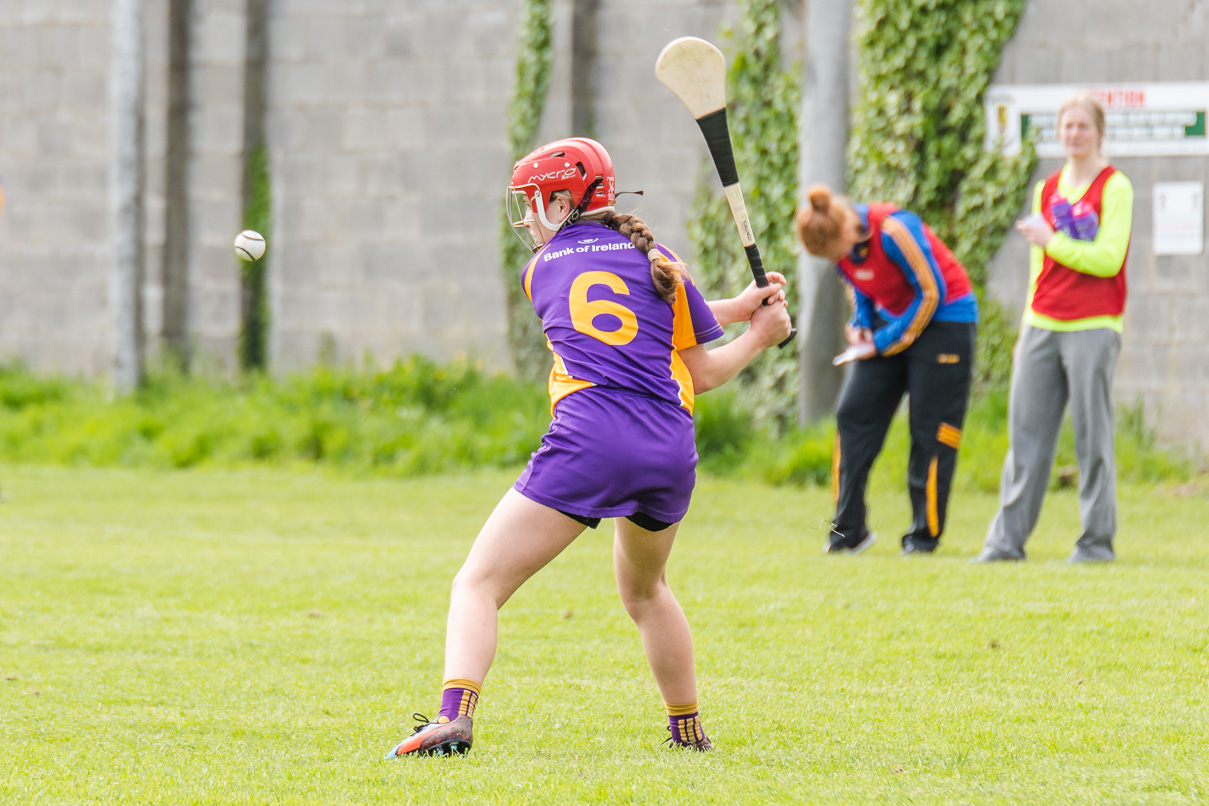 KIlmacud Crokes  Camogie Minor Group 1  Win over Na Fianna