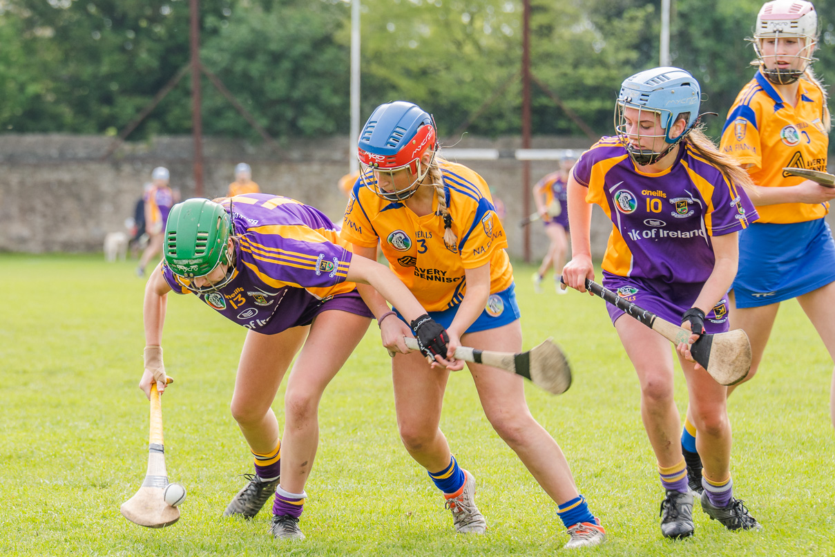 KIlmacud Crokes  Camogie Minor Group 1  Win over Na Fianna