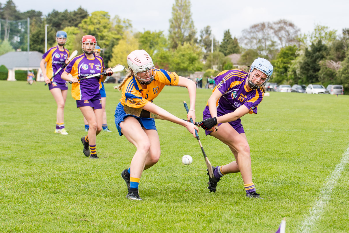 KIlmacud Crokes  Camogie Minor Group 1  Win over Na Fianna