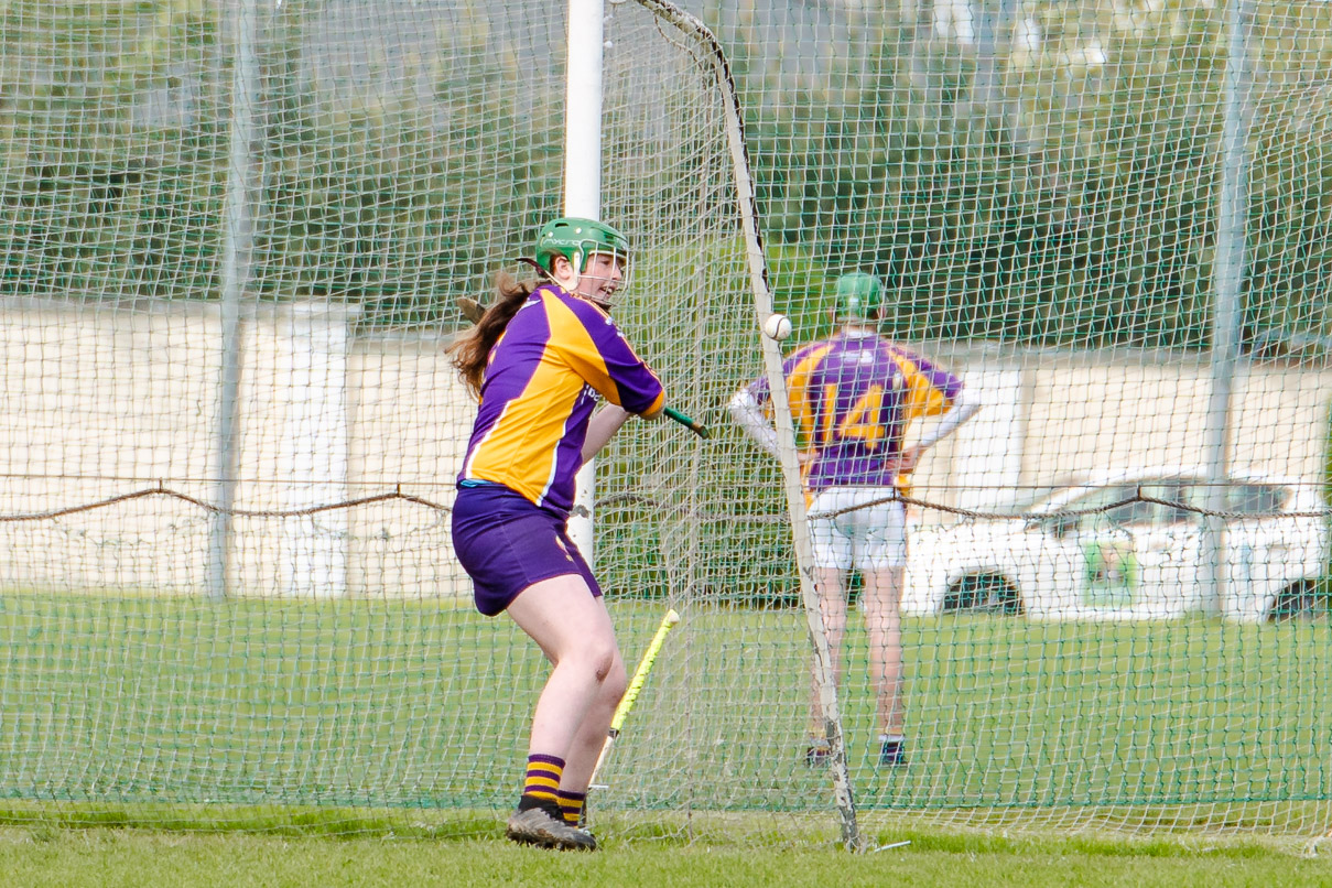 KIlmacud Crokes  Camogie Minor Group 1  Win over Na Fianna