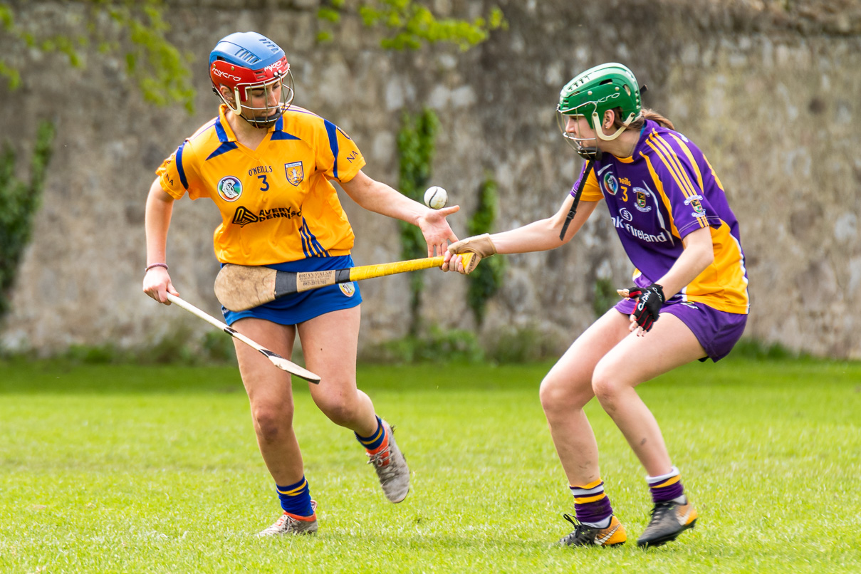 KIlmacud Crokes  Camogie Minor Group 1  Win over Na Fianna