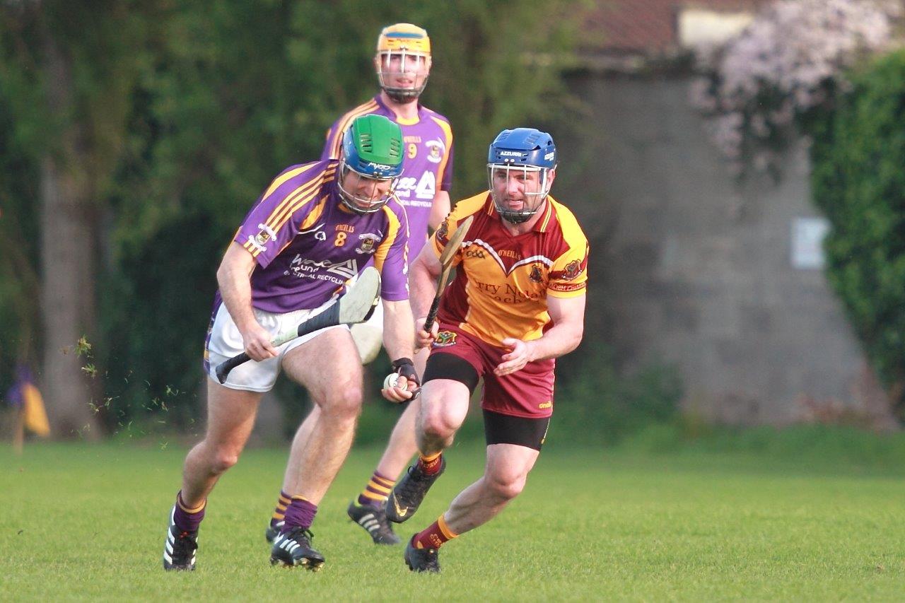 Strong performance by Junior B Hurling team in Championship