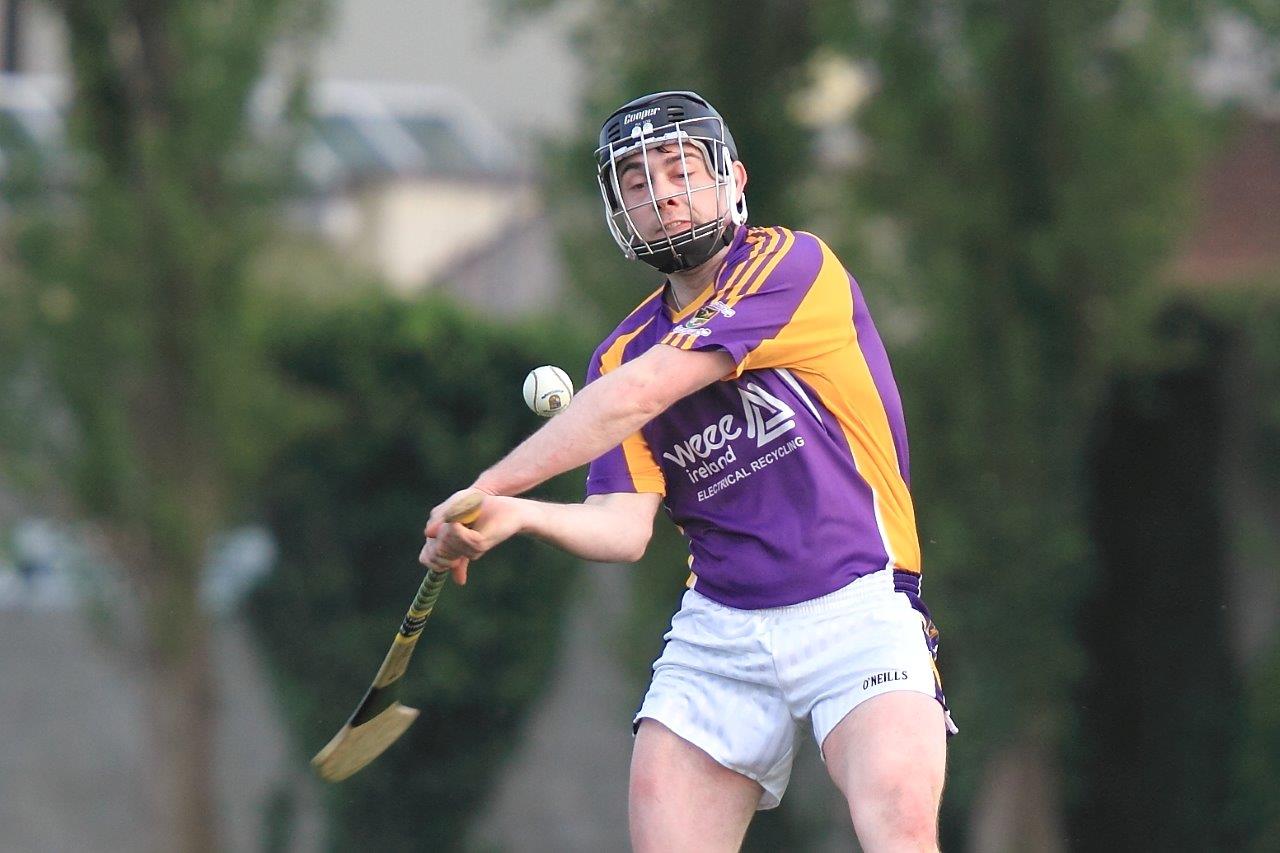 Strong performance by Junior B Hurling team in Championship