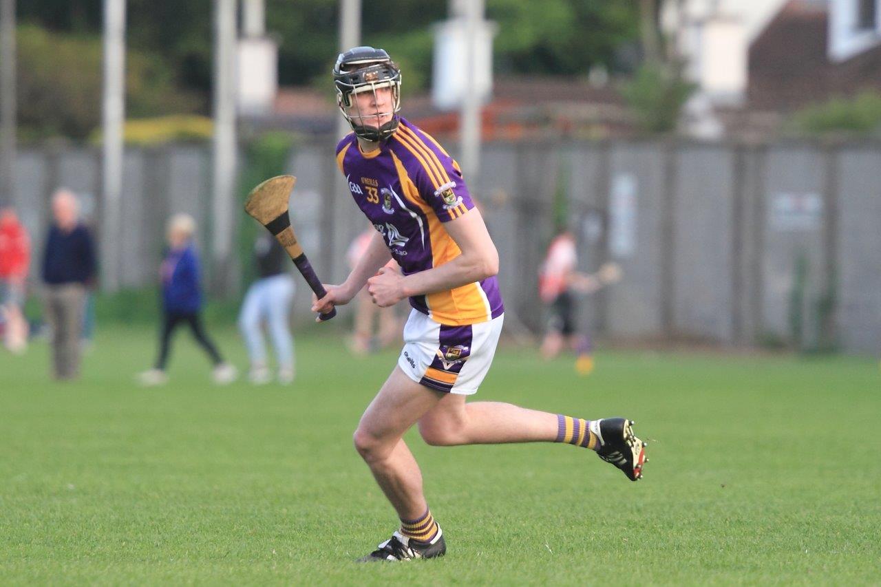 Strong performance by Junior B Hurling team in Championship