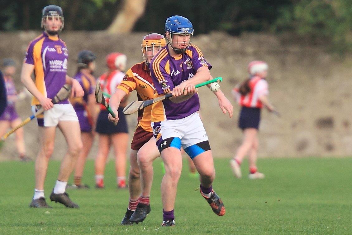 Strong performance by Junior B Hurling team in Championship