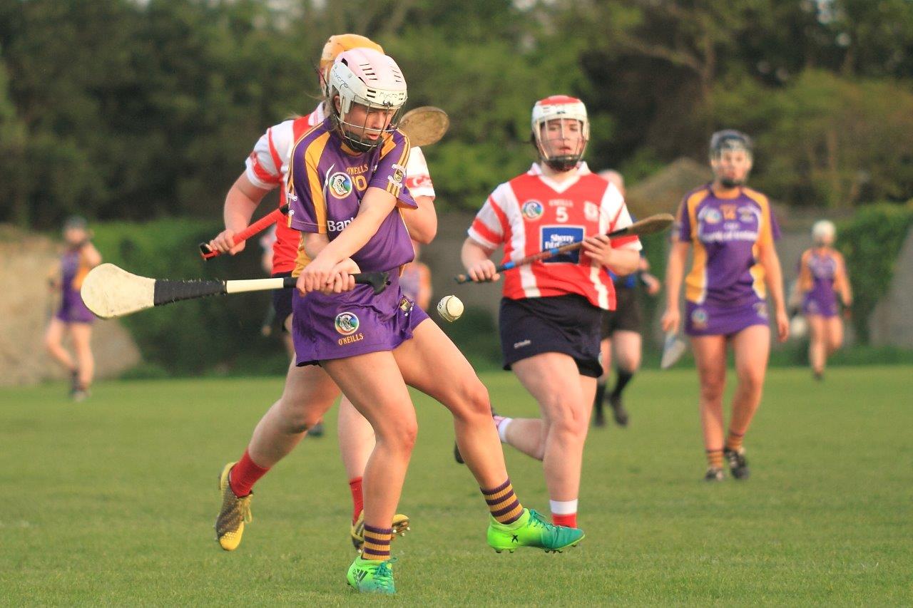 Senior Ladies Camogie team beat Cuala in league clash