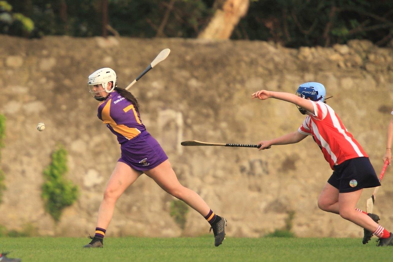 Senior Ladies Camogie team beat Cuala in league clash