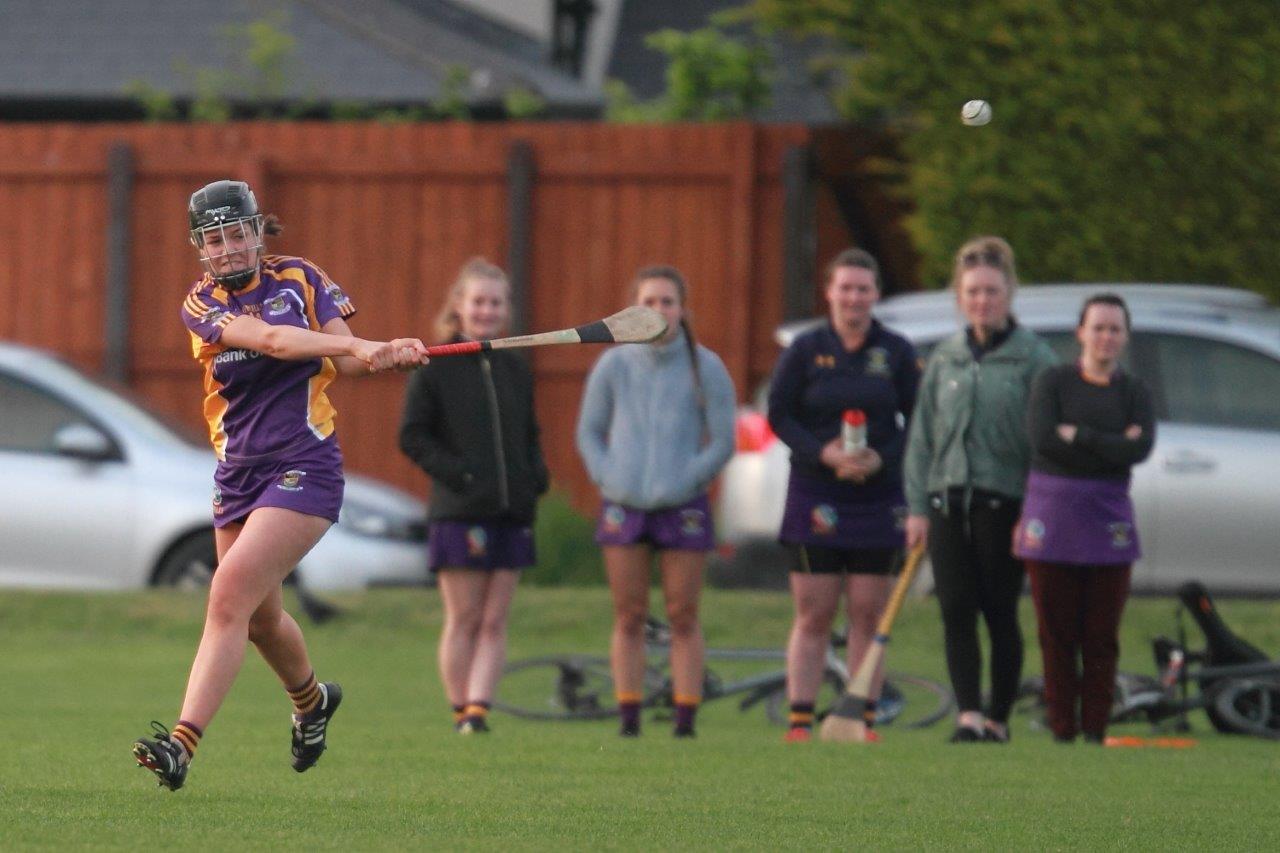 Senior Ladies Camogie team beat Cuala in league clash