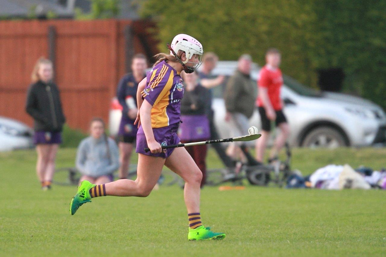 Senior Ladies Camogie team beat Cuala in league clash