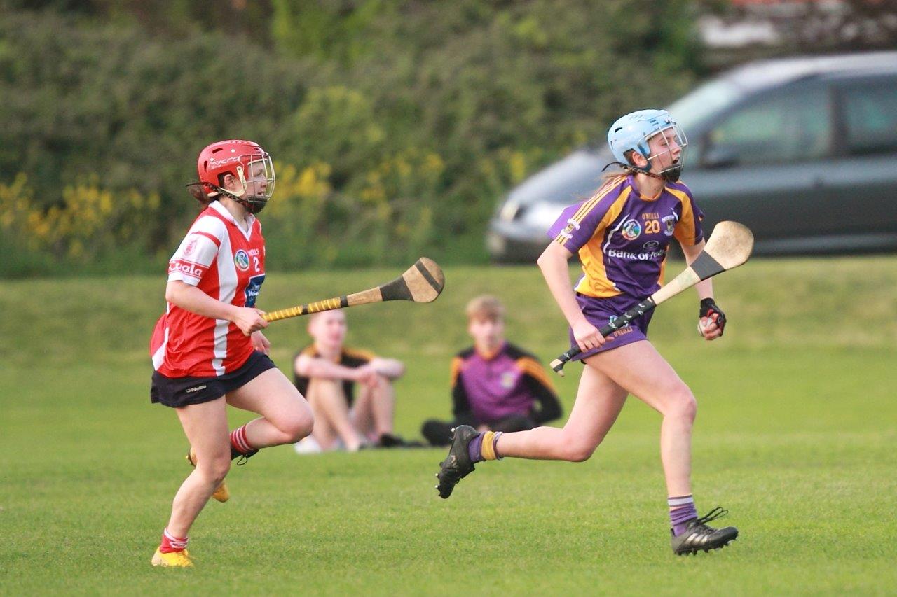 Senior Ladies Camogie team beat Cuala in league clash