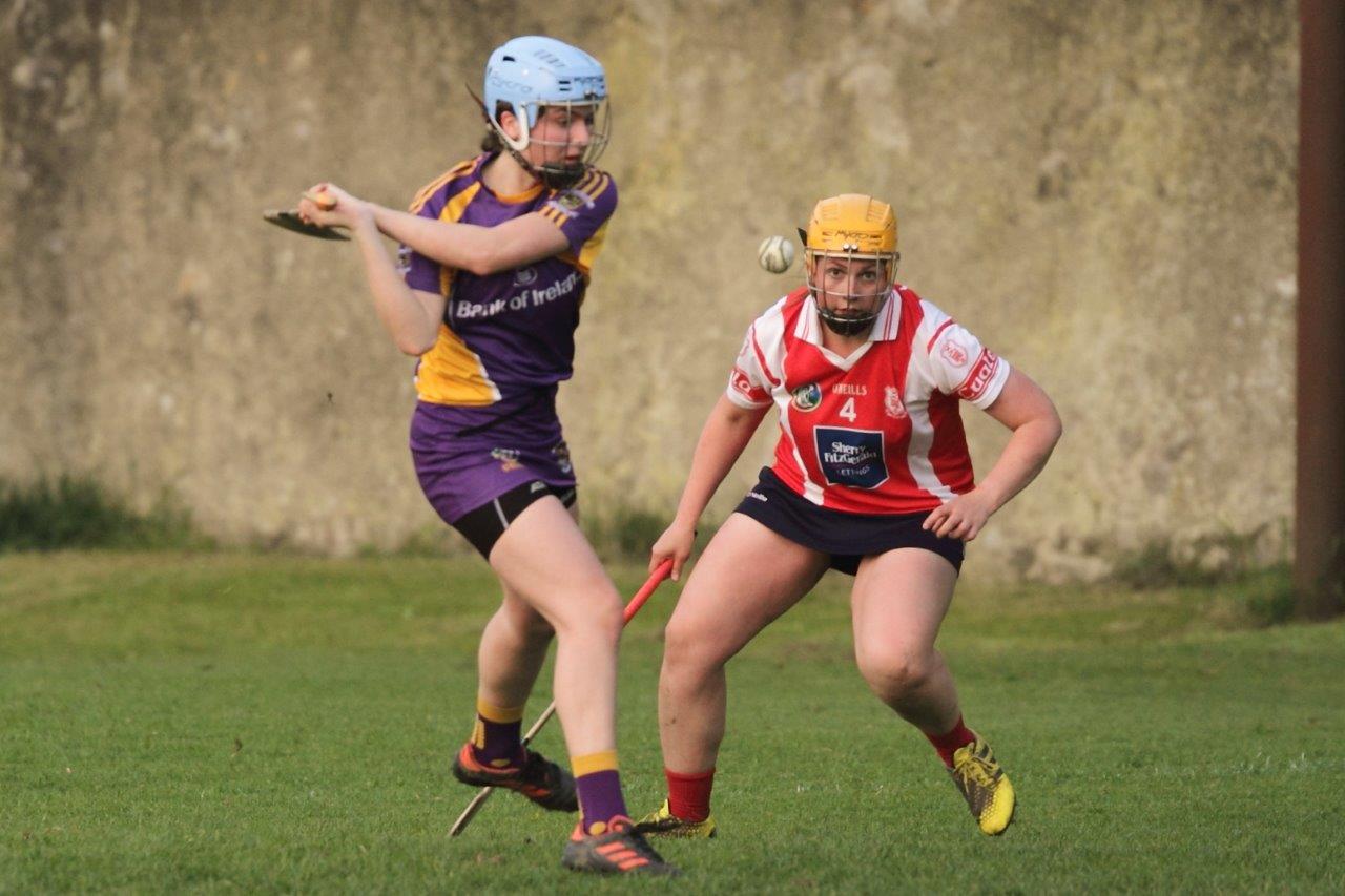 Senior Ladies Camogie team beat Cuala in league clash