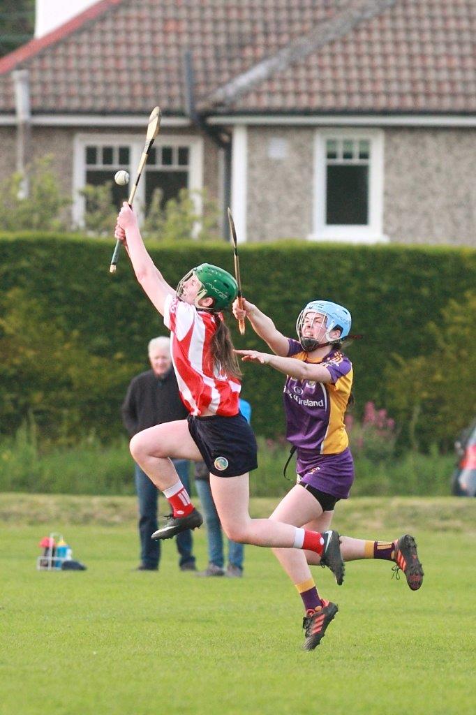 Senior Ladies Camogie team beat Cuala in league clash