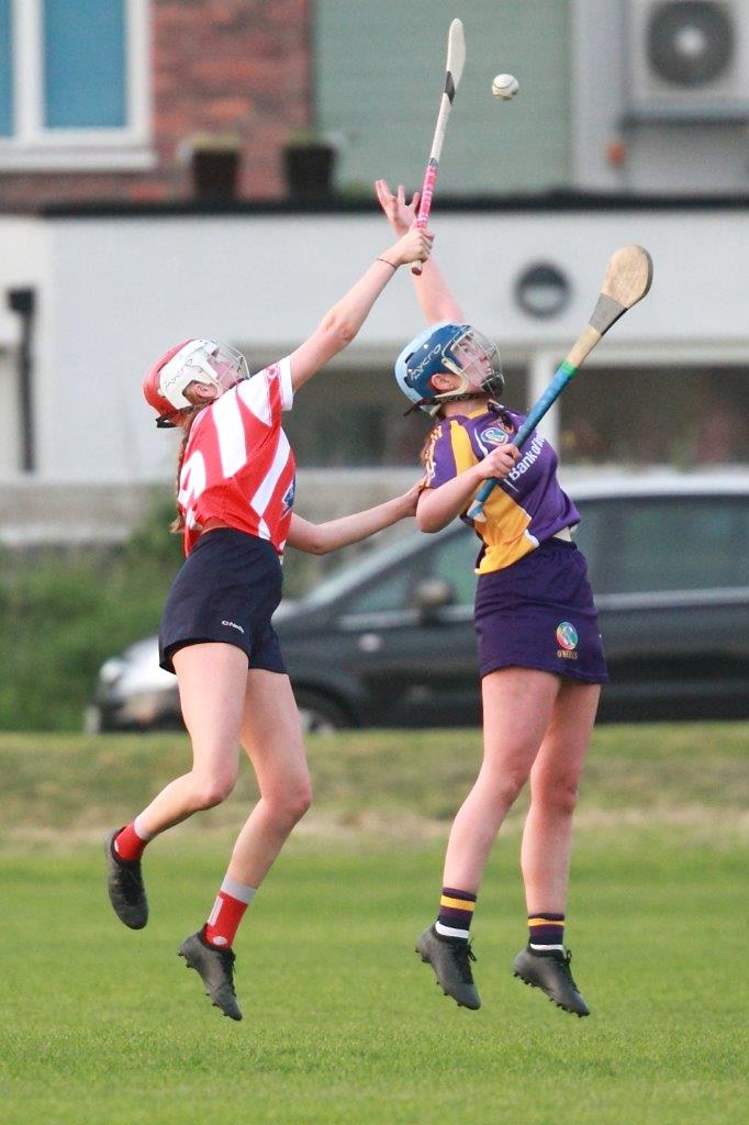 Senior Ladies Camogie team beat Cuala in league clash