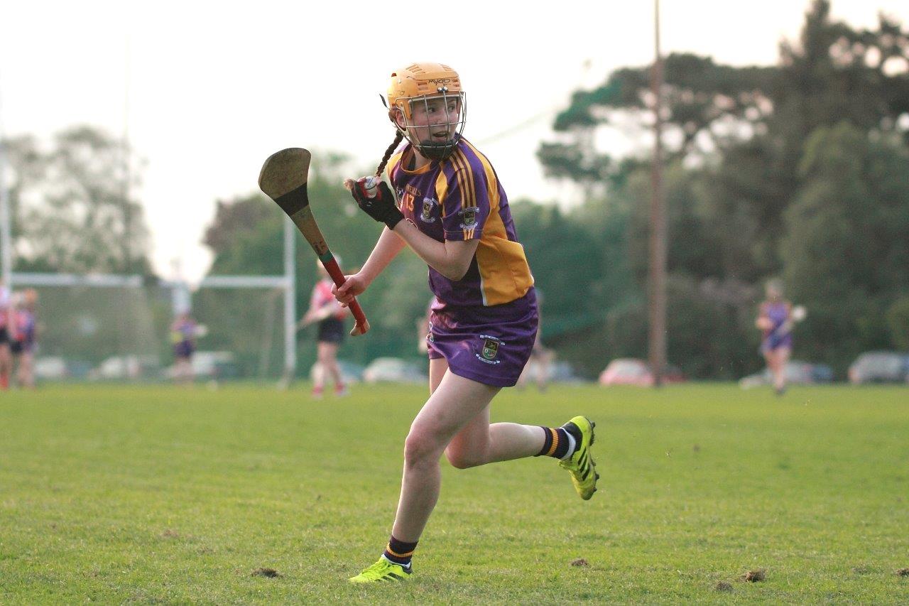 Senior Ladies Camogie team beat Cuala in league clash