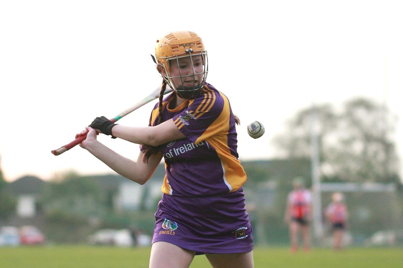 Senior Ladies Camogie team beat Cuala in league clash