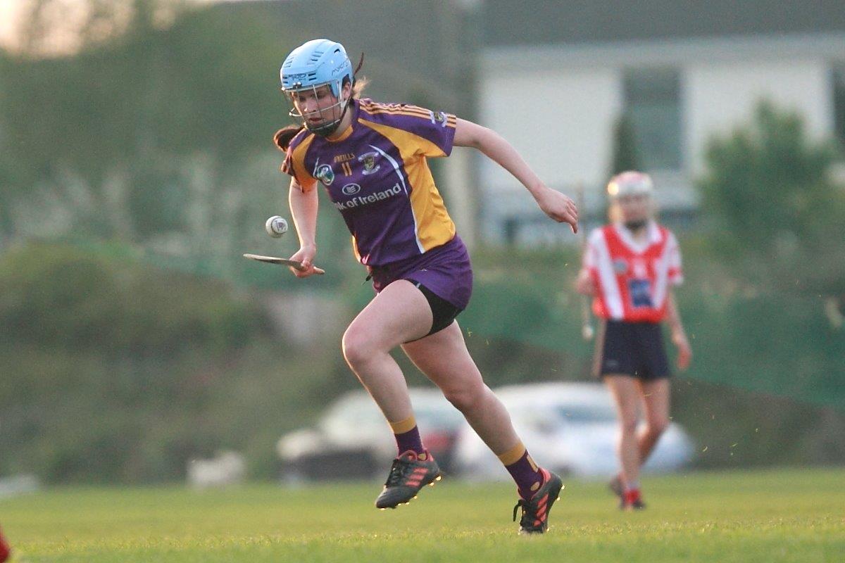 Senior Ladies Camogie team beat Cuala in league clash