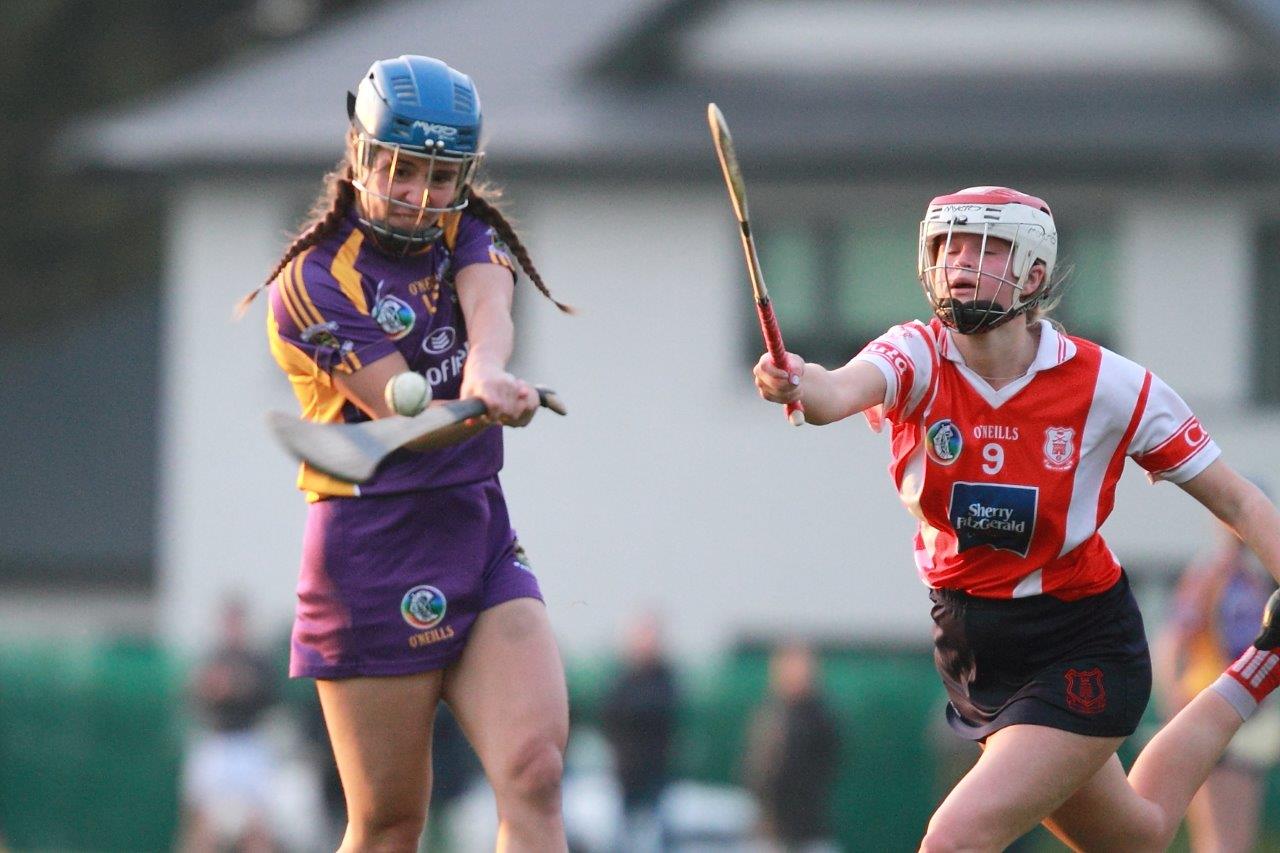 Senior Ladies Camogie team beat Cuala in league clash