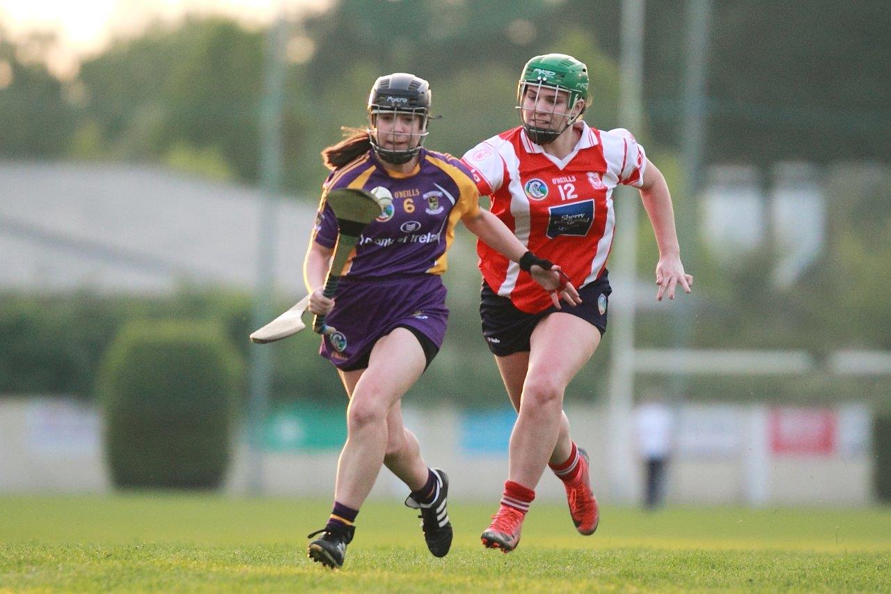 Senior Ladies Camogie team beat Cuala in league clash