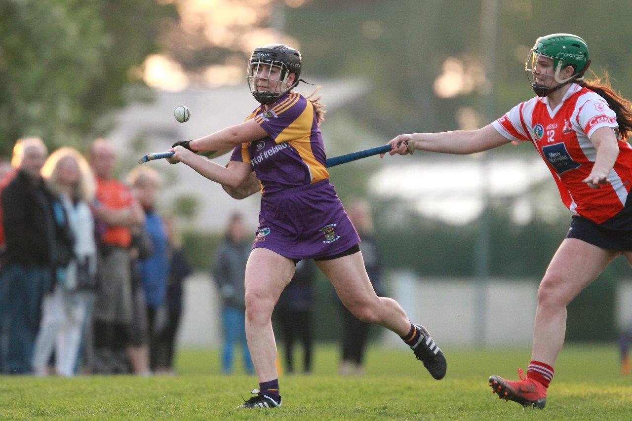 Senior Ladies Camogie team beat Cuala in league clash