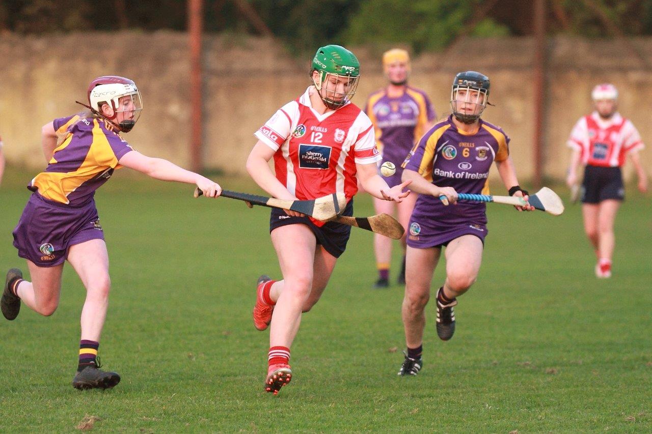 Senior Ladies Camogie team beat Cuala in league clash