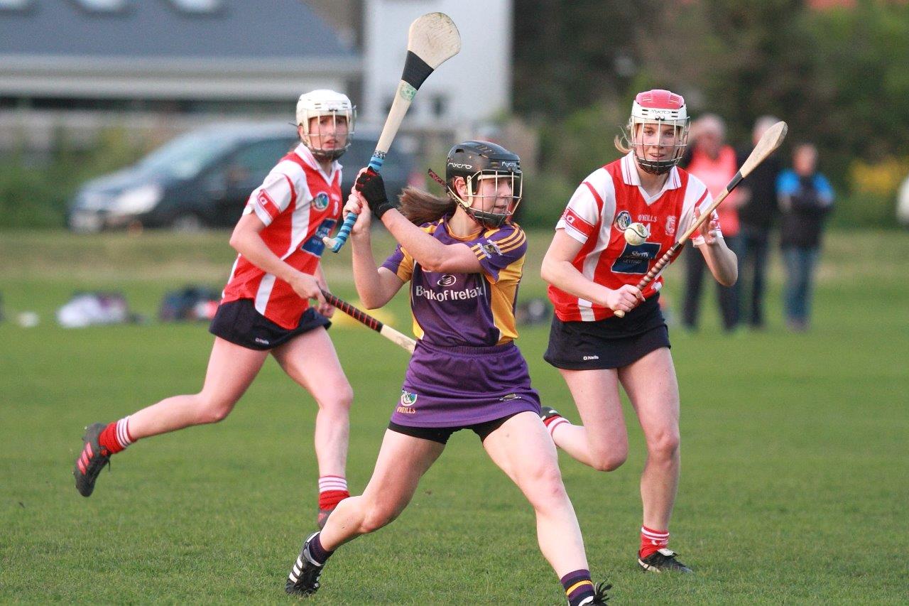 Senior Ladies Camogie team beat Cuala in league clash