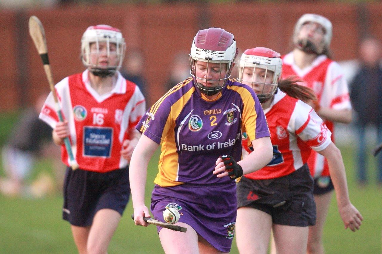 Senior Ladies Camogie team beat Cuala in league clash