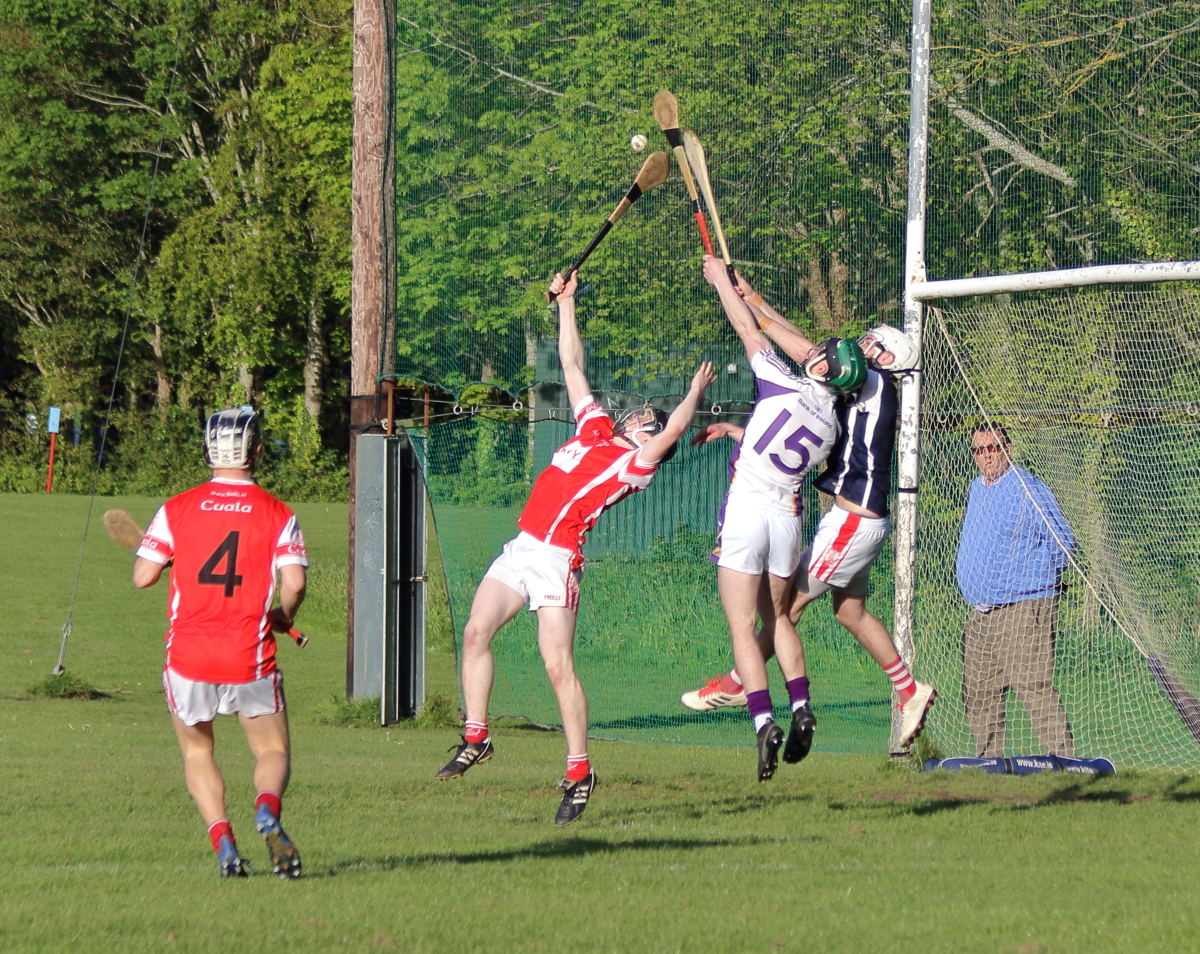 Kilmacud Crokes B Hurling Championship win over local rivals Cuala