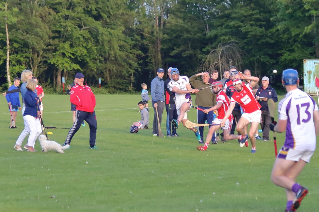 Kilmacud Crokes B Hurling Championship win over local rivals Cuala