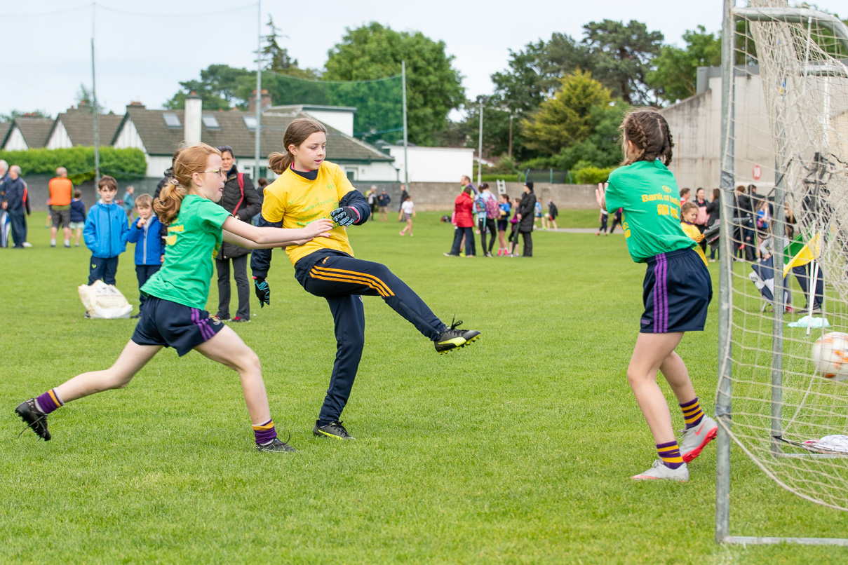 Photo's from the Camogie / Ladies Football BOI Mini all Irelands