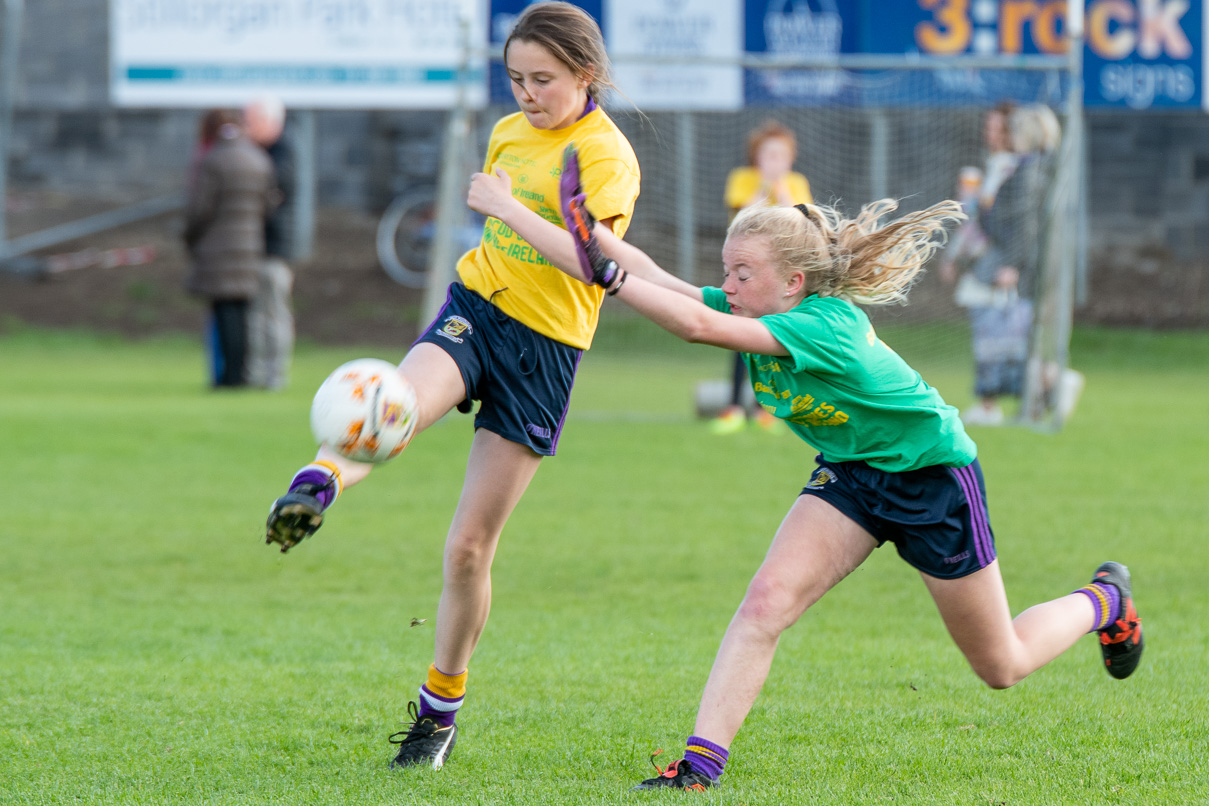 Photo's from the Camogie / Ladies Football BOI Mini all Irelands