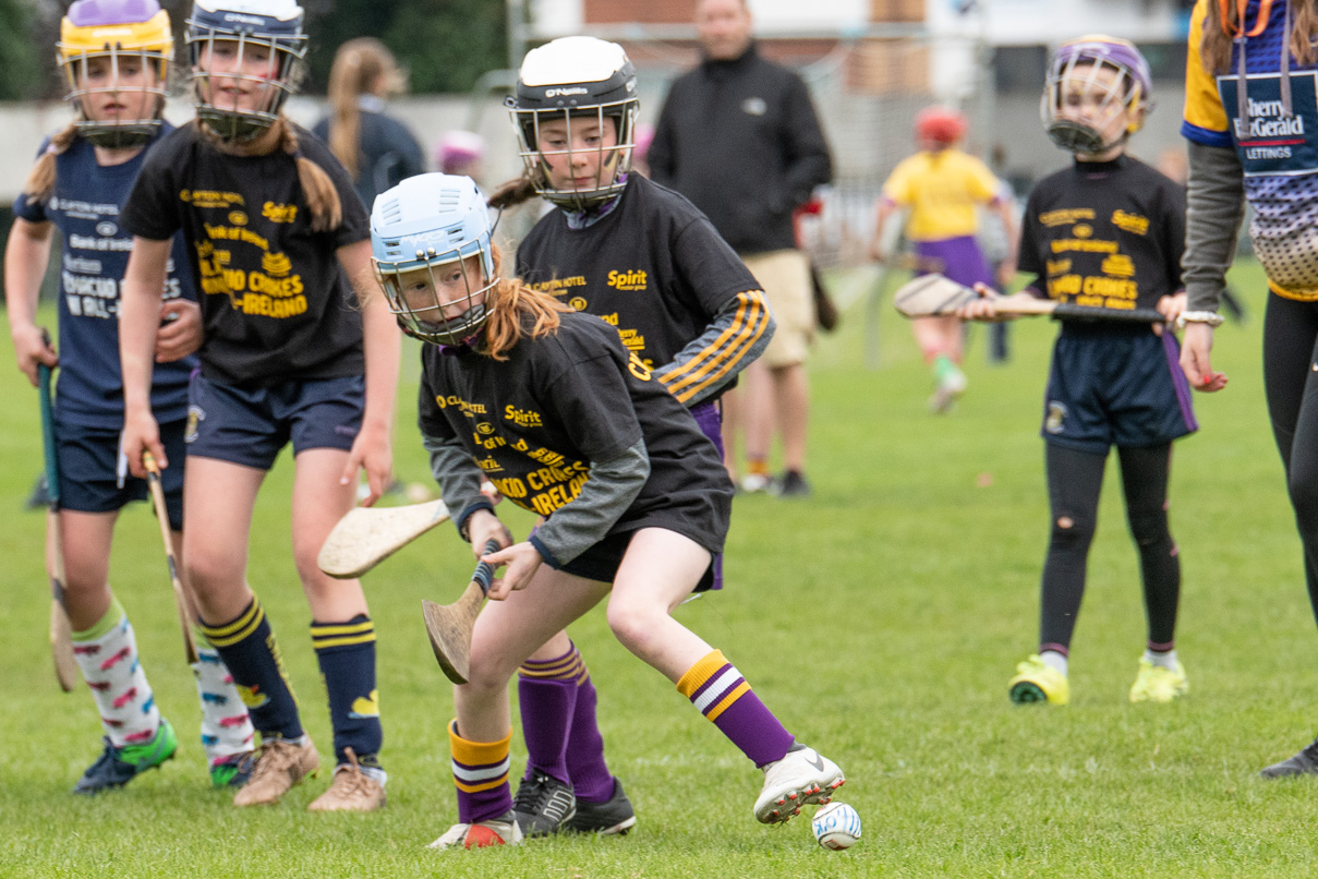 Photo's from the Camogie / Ladies Football BOI Mini all Irelands