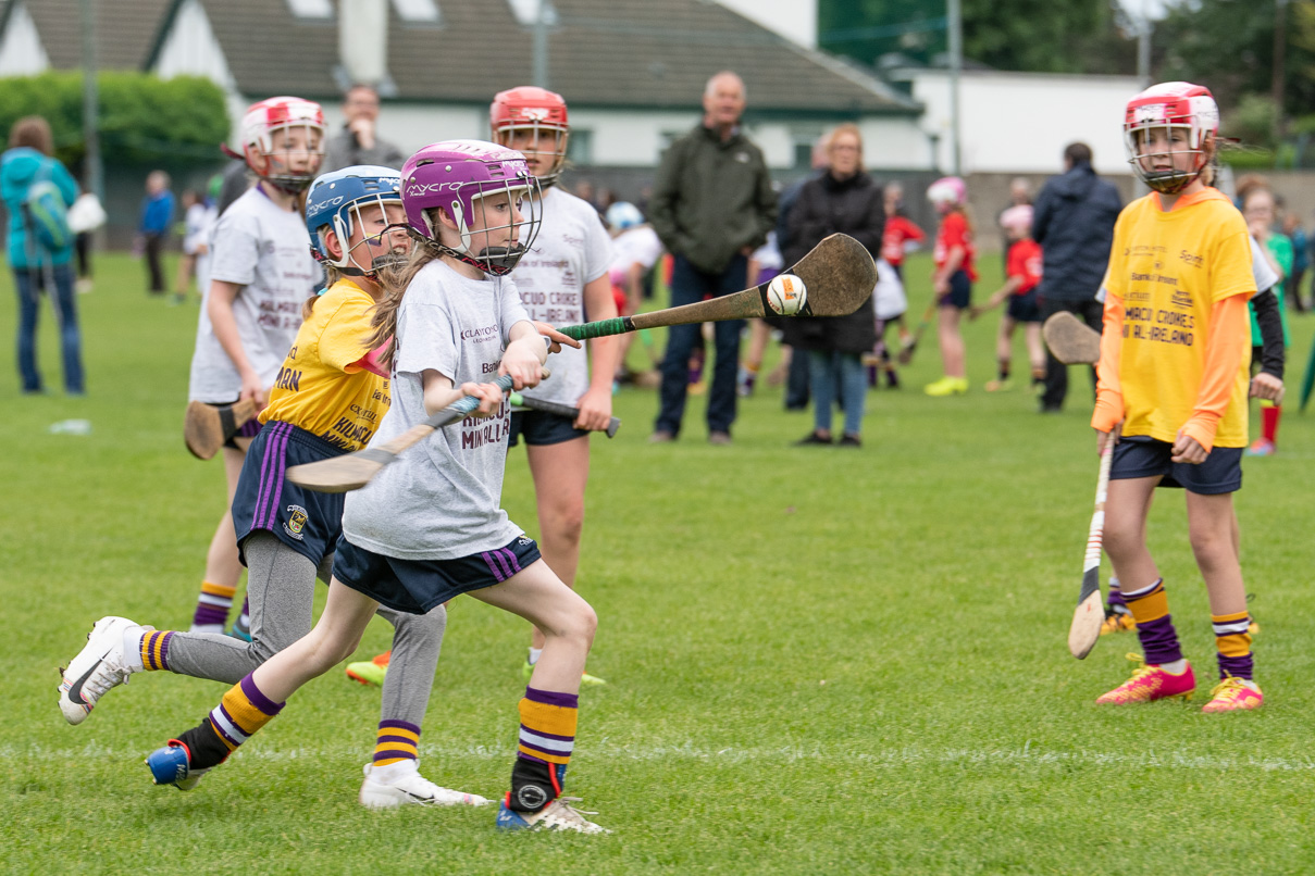 Photo's from the Camogie / Ladies Football BOI Mini all Irelands