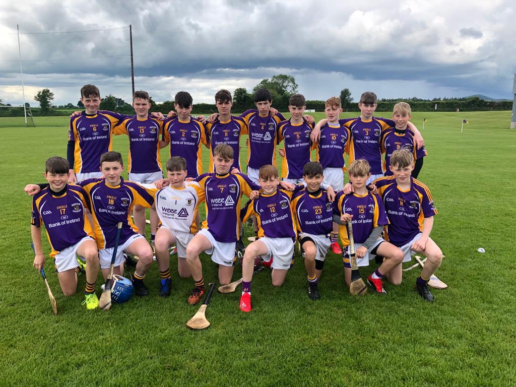 Leinster Regional Feile – KILMACUD CROKES U14 HURLERS VICTORIOUS!