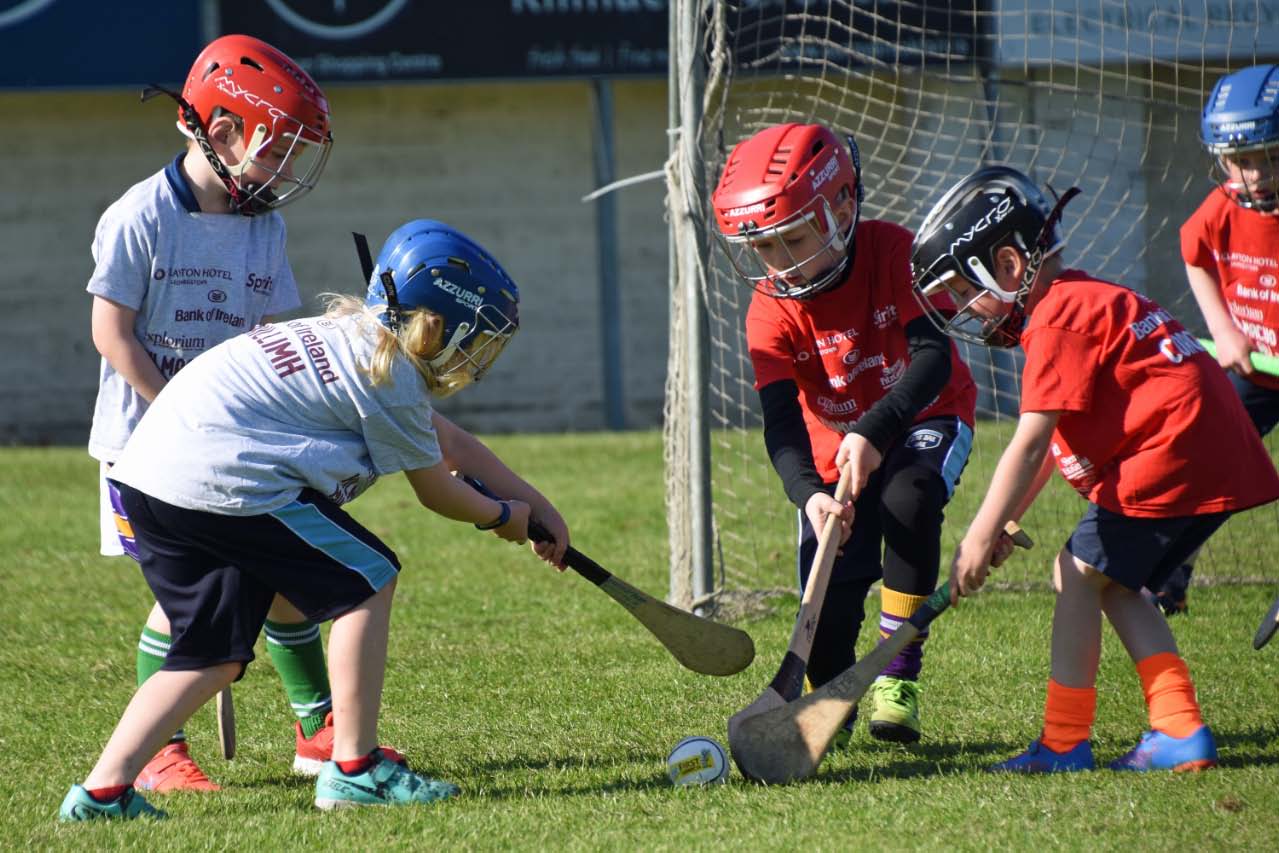 Photos from the BOI Hurling Mini All-Irelands