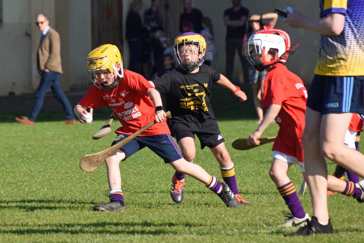 Photos from the BOI Hurling Mini All-Irelands