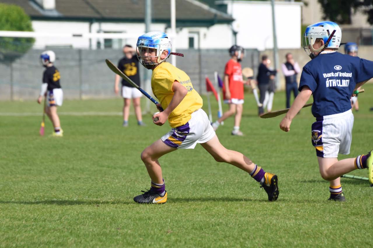 Photos from the BOI Hurling Mini All-Irelands