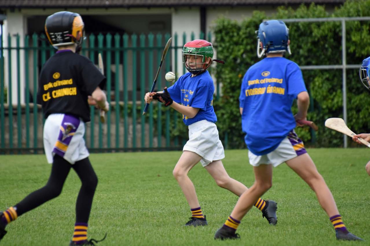 Photos from the BOI Hurling Mini All-Irelands