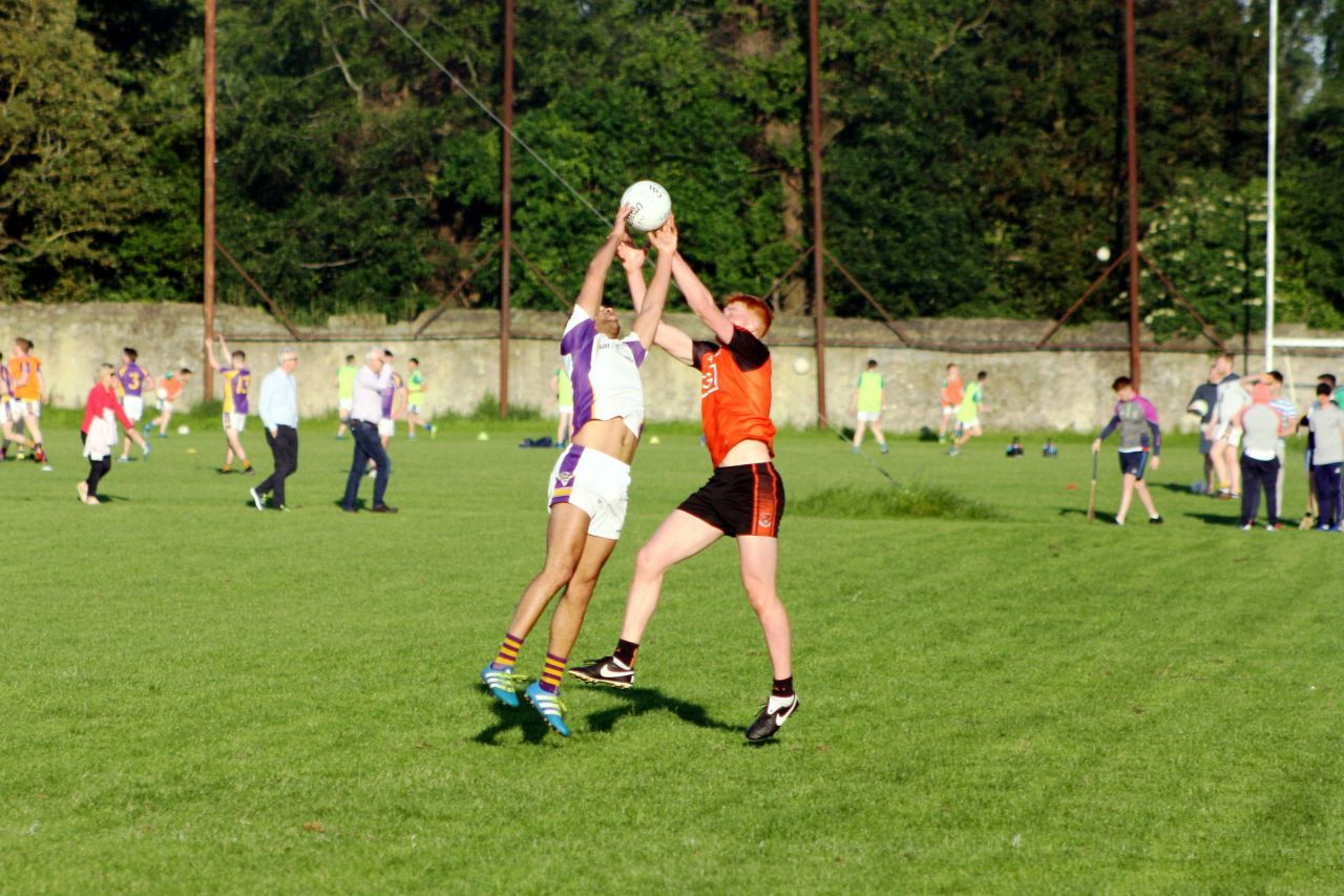 AFL1  record a  1 goal win over Ballinteer  in their League encounter in Silverpark June 26th