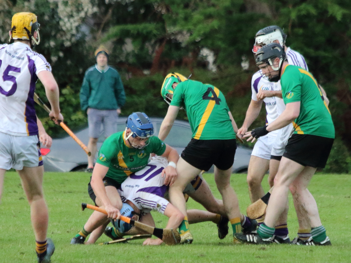 Senior ‘B’ Hurler’s draw with Thomas Davis in last championship group game